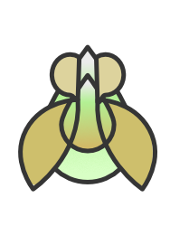 Bug bash logo 
